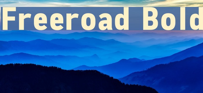 Freeroad Bold Font examples