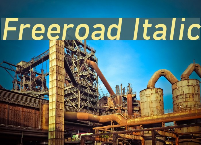 Freeroad Italic Font examples