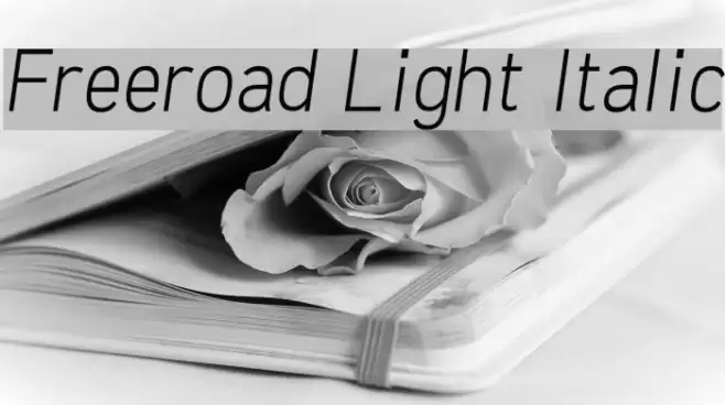 Freeroad Light Italic examples