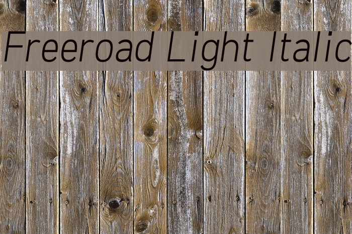Freeroad Light Italic Font examples