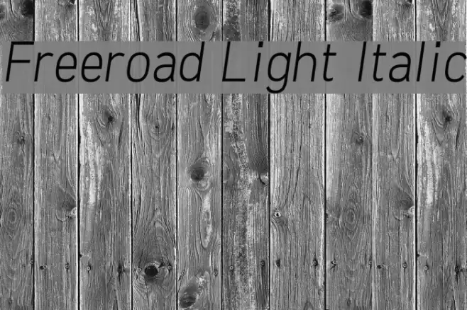 Freeroad Light Italic examples
