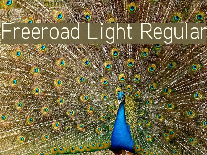 Freeroad Light Regular لخطوط تنزيل examples