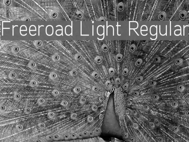 Freeroad Light Regular Font examples