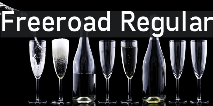 Freeroad Regular Font examples
