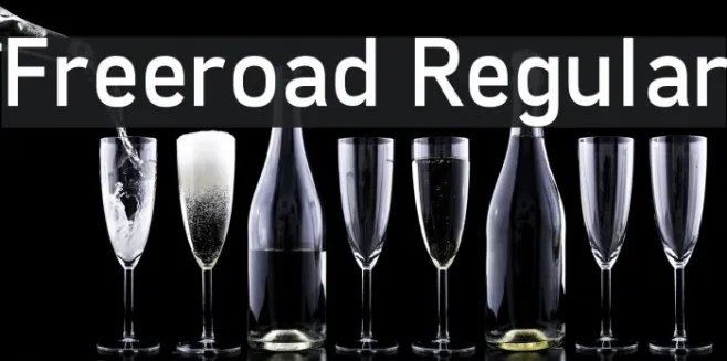 Freeroad Regular Example 1