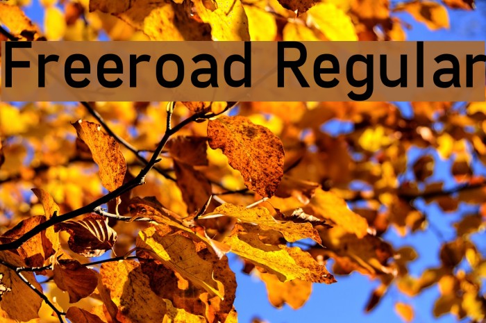 Freeroad Regular Font examples