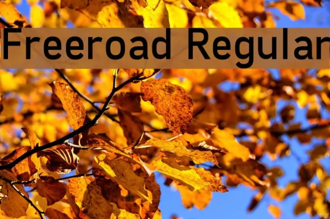 Freeroad Regular Example 2