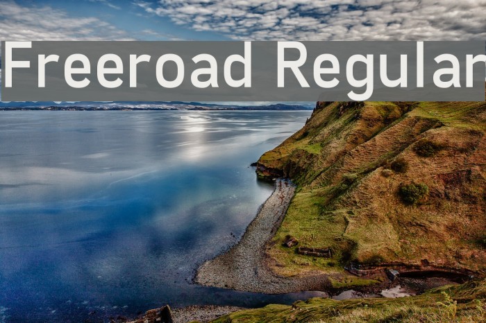 Freeroad Regular Font examples