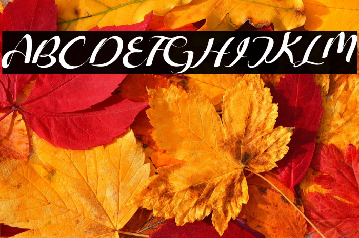 Freesia Flower Example 1