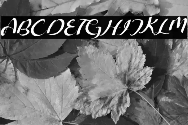 Freesia Flower Font examples