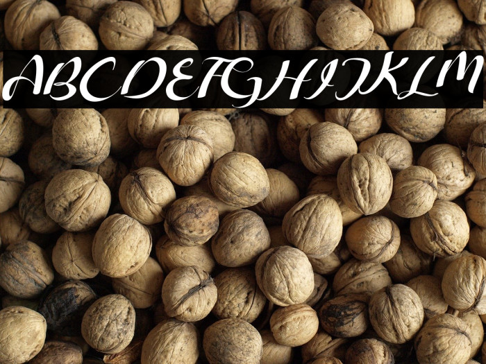 Freesia Flower Example 2