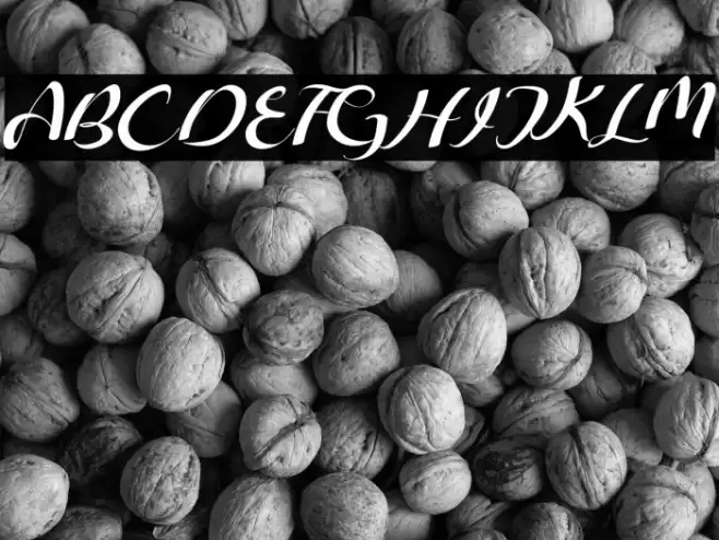 Freesia Flower Font examples