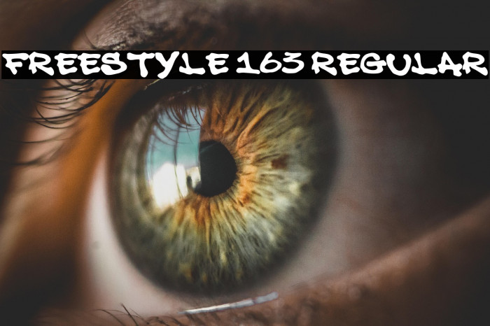 Freestyle 163 Regular Example 1