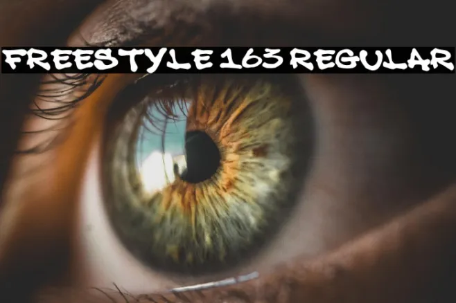 Freestyle 163 Regular Example 1