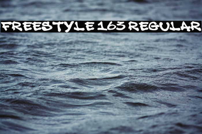 Freestyle 163 Regular Example 3