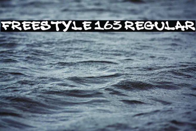 Freestyle 163 Regular Example 3