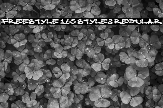 Freestyle 163 Style2 Regular Font examples