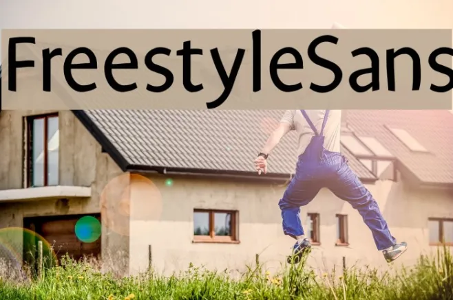 FreestyleSans Example 1