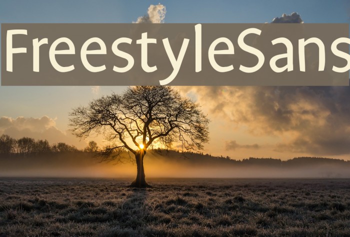 FreestyleSans Font examples