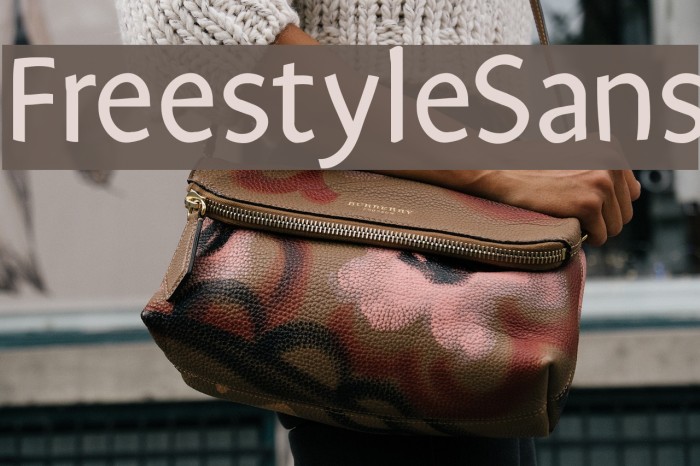 FreestyleSans Font examples