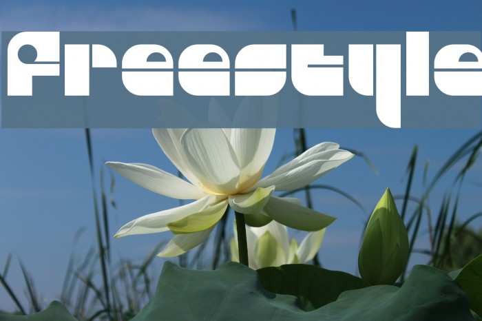 Freestyle Fonte examples