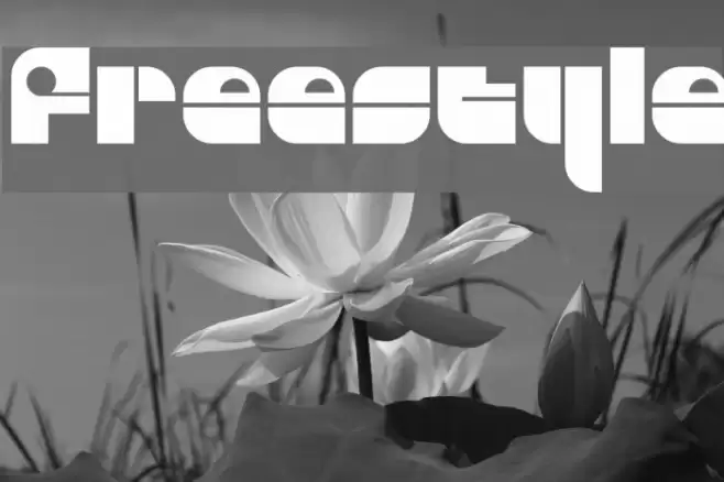 Freestyle Fonte examples