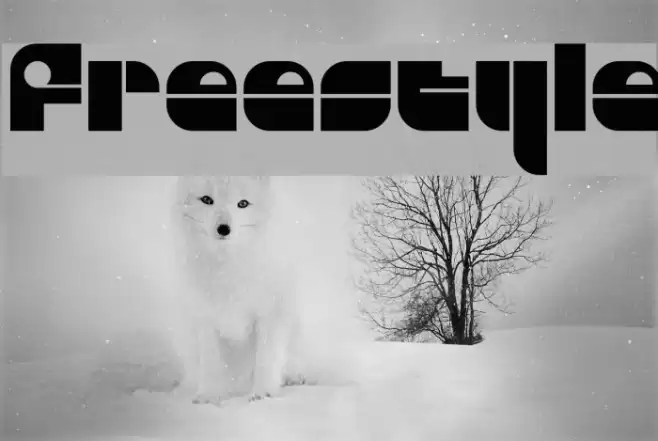 Freestyle Fonte examples