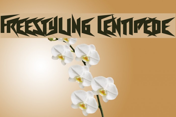 Freestyling Centipede Font examples