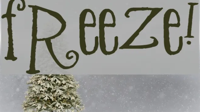Freeze! Example 3