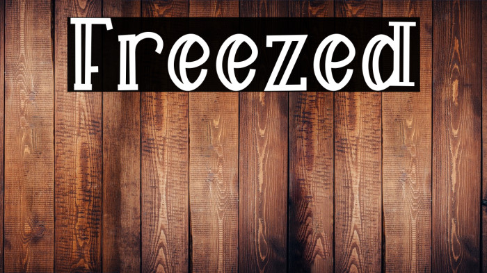 Freezed Example 2