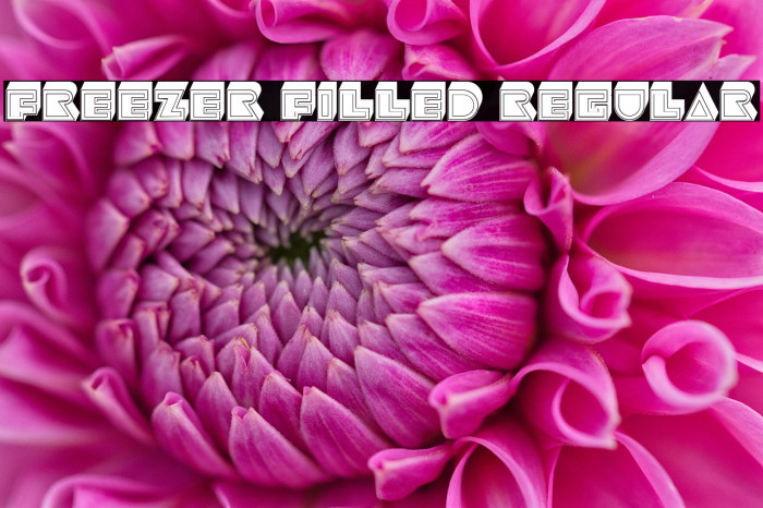 Freezer Filled Regular Example 3