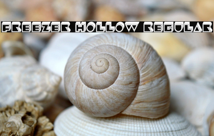 Freezer Hollow Regular Example 3