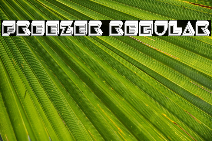 Freezer Regular Example 1