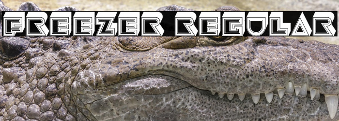 Freezer Regular Example 2