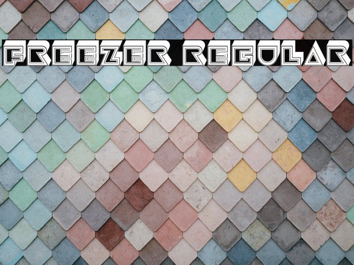 Freezer Regular Example 3