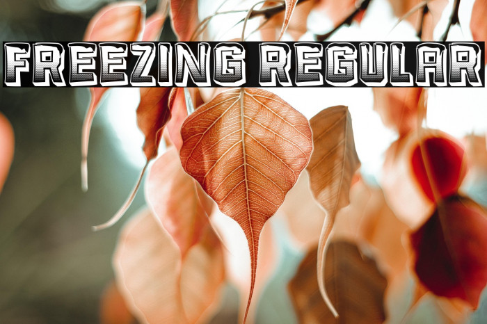 Freezing Regular Example 3