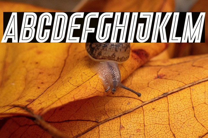 Freiburg In Line PERSONAL USE Example 2