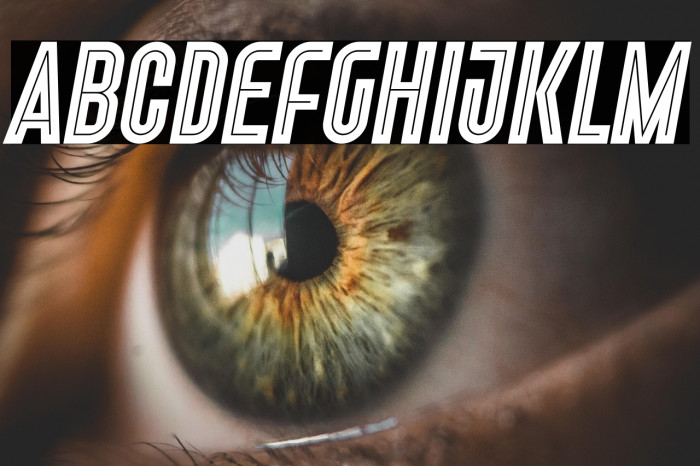 Freiburg In Line PERSONAL USE Example 3