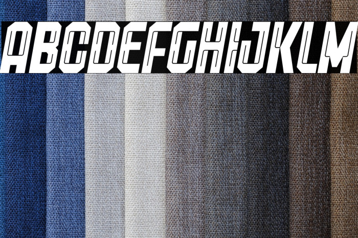 Freiburg Italic PERSONAL USE Example 1