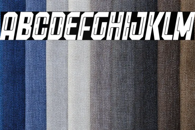 Freiburg Italic PERSONAL USE Example 1