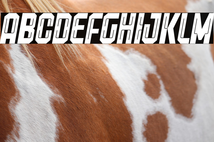 Freiburg Italic PERSONAL USE Example 2