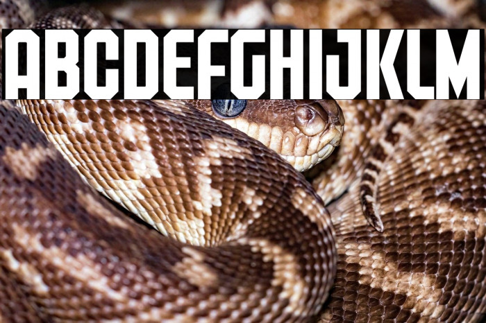 Freiburg PERSONAL USE Example 2