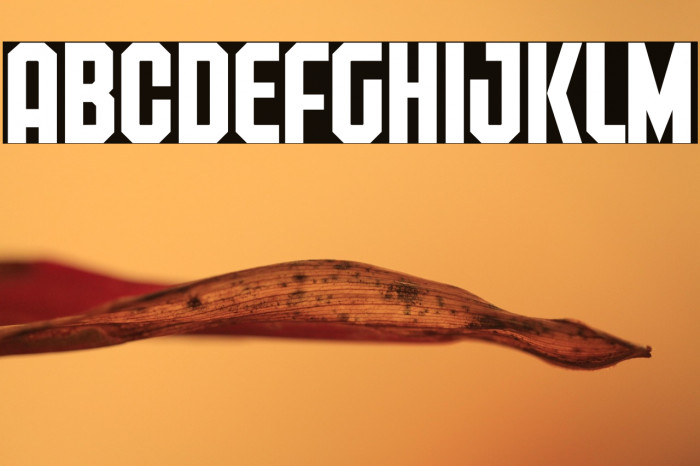 Freiburg PERSONAL USE Example 3