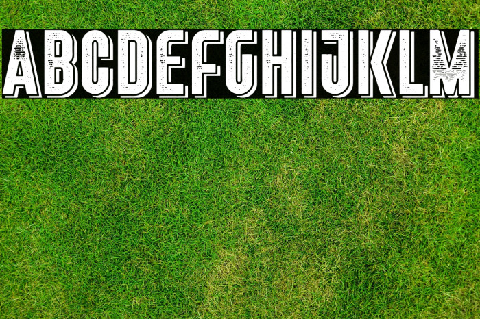 Freiburg Shadow PERSONAL USE Example 3