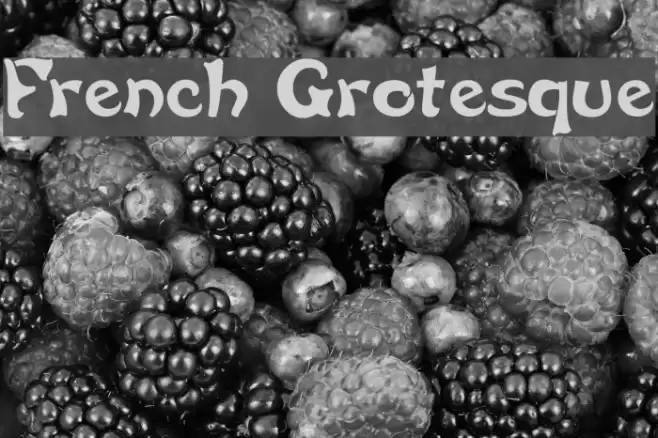 French Grotesque Font examples