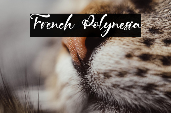 French Polynesia Example 2