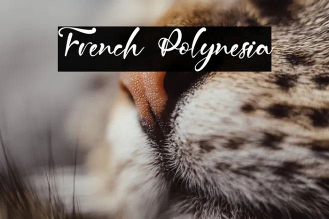 French Polynesia Example 2