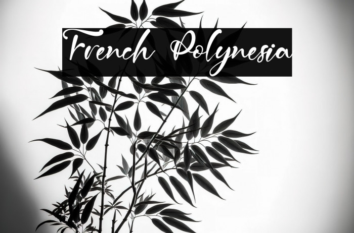 French Polynesia Example 3