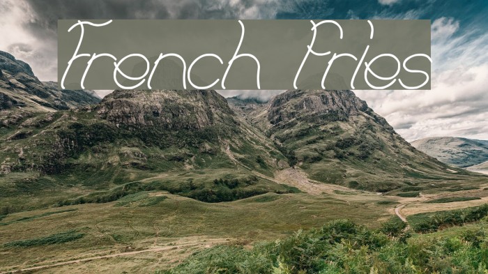 French fries Example 2