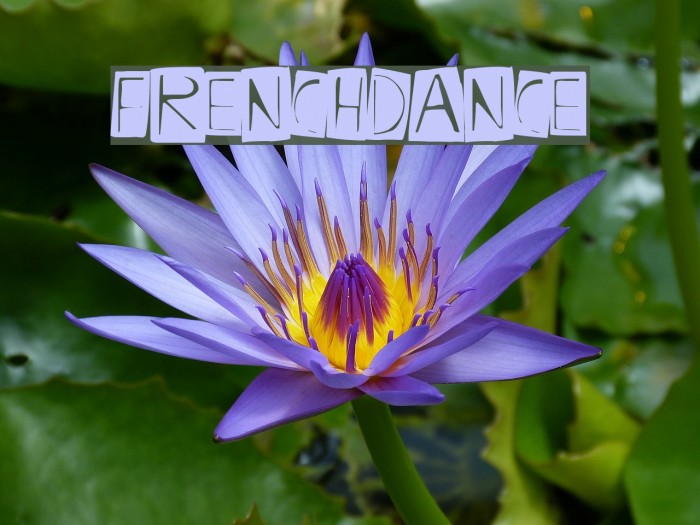 FrenchDance Example 1
